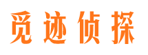 濠江侦探公司